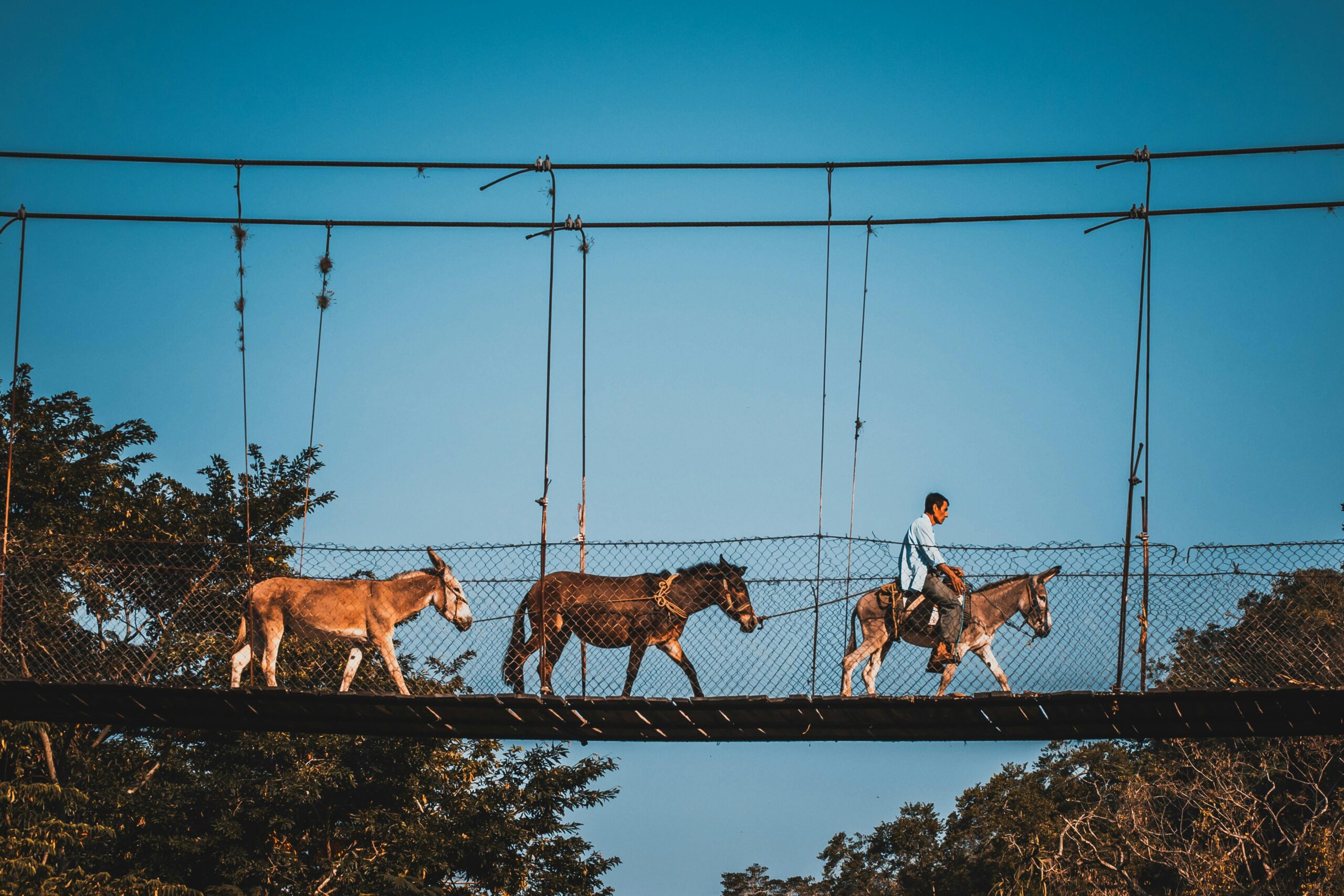 ✅ Lesson 6: Margin of Safety — How to Protect Yourself When Investing