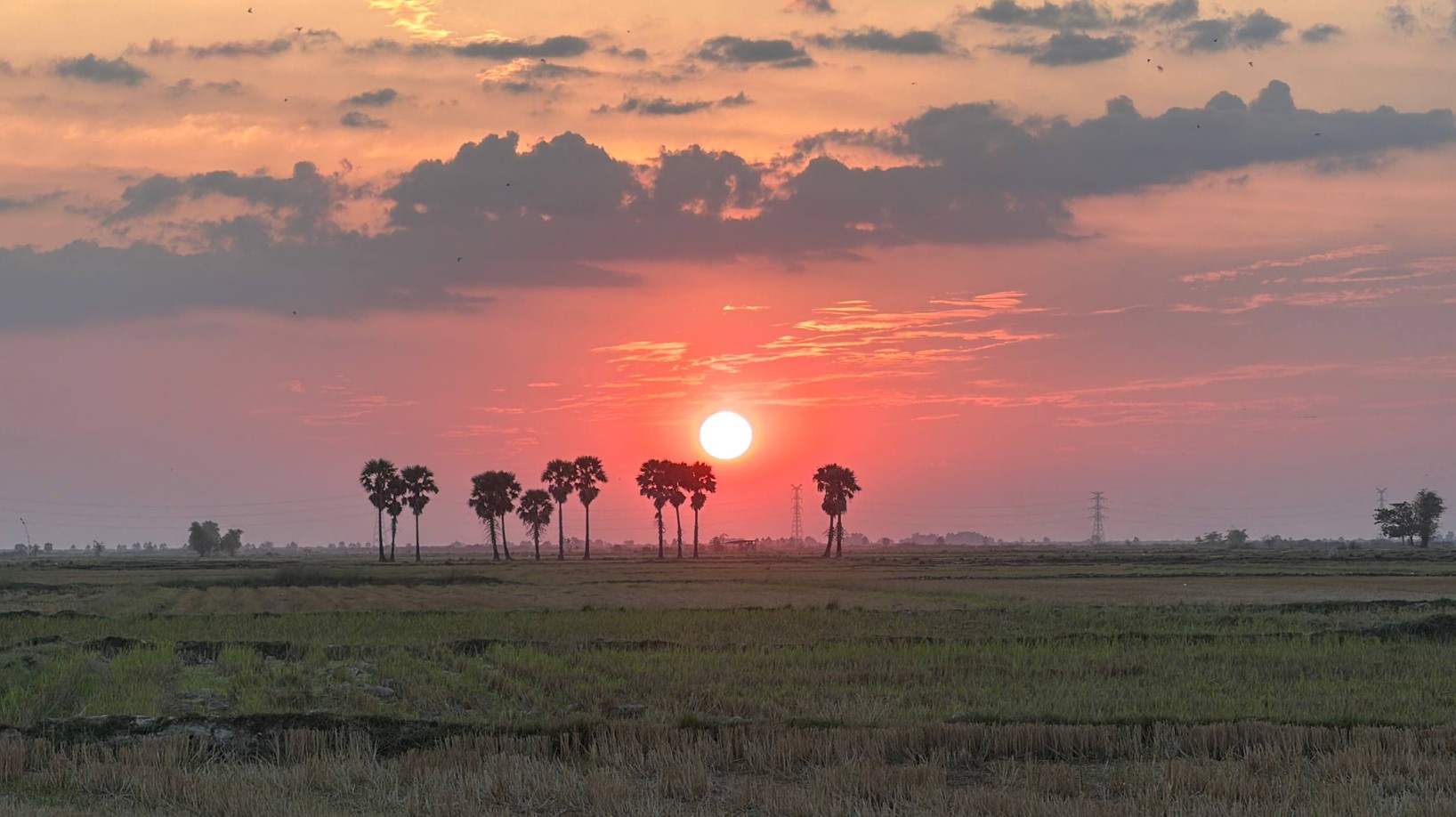 A Letter to My Only Daughter, With Love